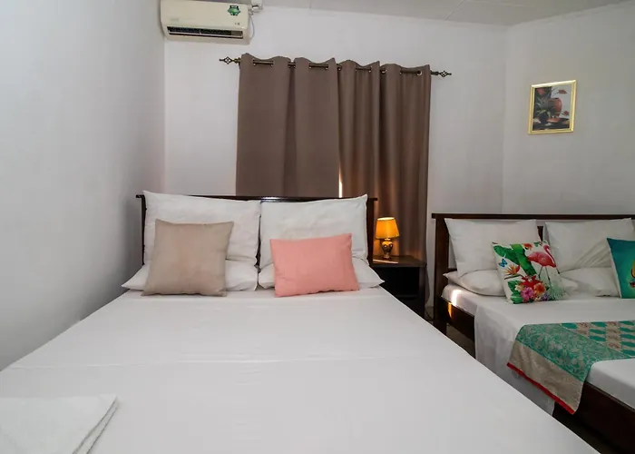 Apartament Soleil Levant
